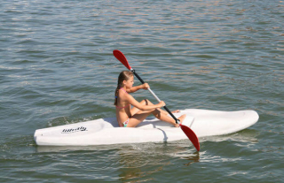 Whaly Funboard